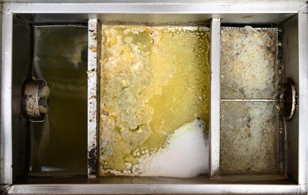 Grease Trap for Kitchen Sink
